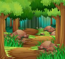 Scene with hiking track in the forest	 vector