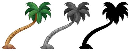 Set of palm tree vector