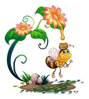 Bee collecting honey from the flower vector