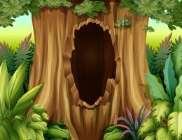 A hole in a big tree vector