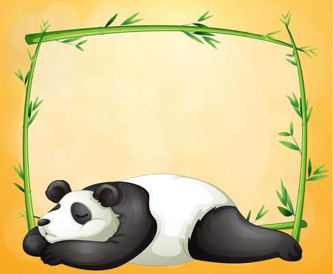 An empty frame and the sleeping panda