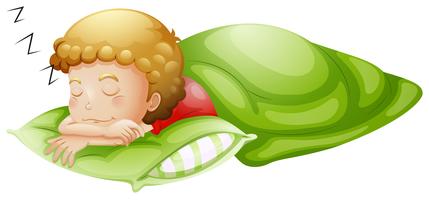 A little boy sleeping soundly vector