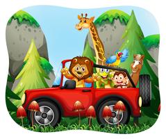 Wild animals riding on jeep vector