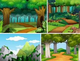 Four nature scenes with forest and mountain vector