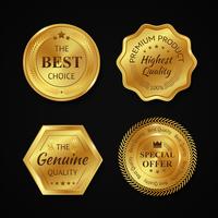 Golden Metal Badges vector