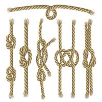 Knots Collection Set vector