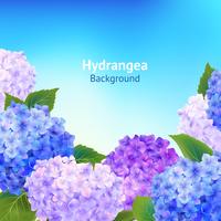 Hydrangea Flowers Background vector