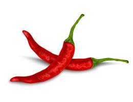 Chili pepper isolated on white vector