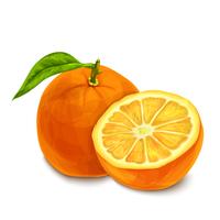 Orange isolated poster or emblem