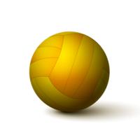 Icono de pelota de voleibol realista vector