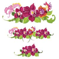 Tropical flower elements pattern vector