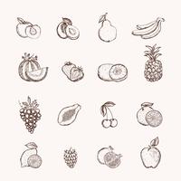 Fruits icons set vector