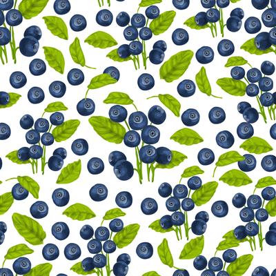 Blueberries, Videos & Patterns