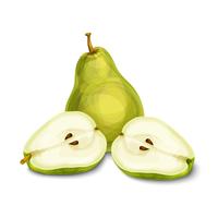 Green natural organic pear fruit vector