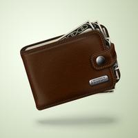 Classic brown leather wallet with banknotes vector