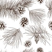 Pine branches seamless pattern vector