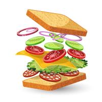 Salami sandwich ingredients emblem vector