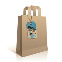 Big carry paper shopping bag vector