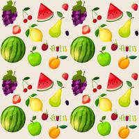 Fresh fruits seamless pattern vector