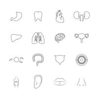 Human organs icons outline vector