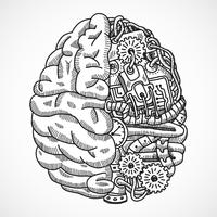 Cerebro como máquina de procesamiento vector