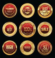 Luxury premium golden badges and labels vector