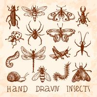 Conjunto de croquis de insectos vector