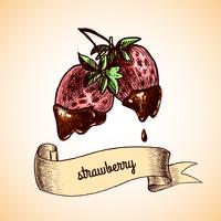 Strawberry chocolate sketch vector