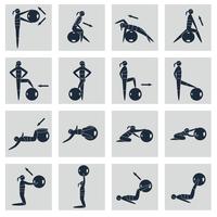 Fitness Ball Icons Set vector