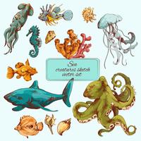 Sea creatures sketch colored
