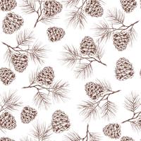 Pine branches seamless pattern vector