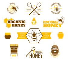 Bee honey label colored vector