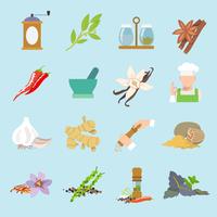 Spices icons flat vector