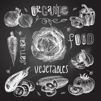 Vegetables sketch set chalkboard vector