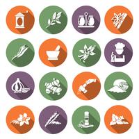 Spices icons flat vector