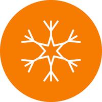 Snow Flake Vector Icon