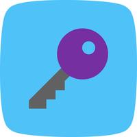 Vector Key Icon