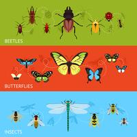 Conjunto de banners de insectos vector