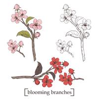 Blooming tree. Set collection. Hand drawn botanical blossom branches on white background. Vector illustration