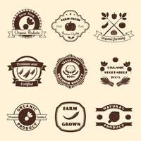 Vegetable Label Set vector