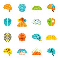 Iconos del cerebro planos vector