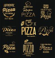 diseño de pizza vector