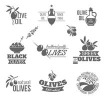 Olives label set vector