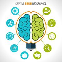 Creative brain infographics vector