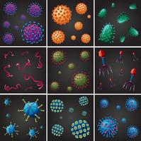Different types of viruses vector