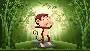 Monkey in bamboo forest vector