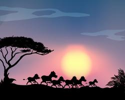 Silhouette horses running in the field vector