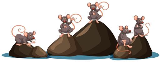 A Set of Rat on White Background vector