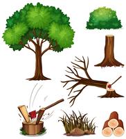 Arbol Cortado Vectores, Iconos, Gráficos y Fondos para Descargar Gratis