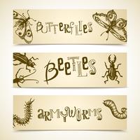 Insects banner set vector